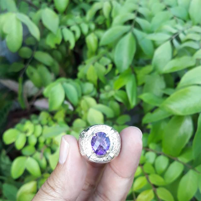 Kecubung Ungu Pangkalanbun Cutting 1