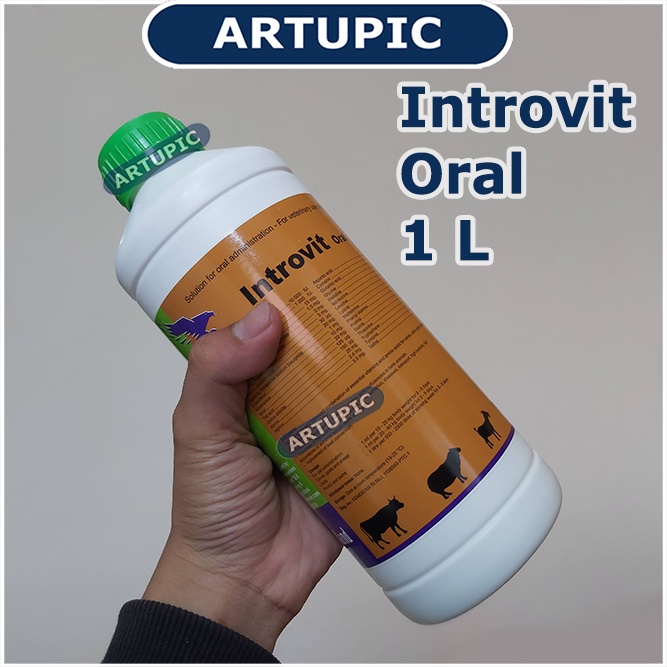 Introvit Oral 1 Liter Multivitamin Lengkap Asam Amino Ternak Hewan Vitamin Holland Mempercepat Pertumbuhan dan Meningkatkan Produksi Telur Daya Tahan Tubuh Mengatasi Stres Stamina Daging Telur Susu Ayam Sapi Kambing Babi Domba