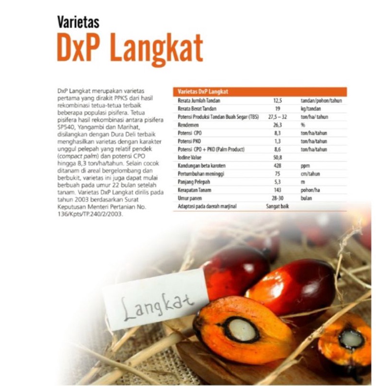 DXP Simalungun/Yangambi