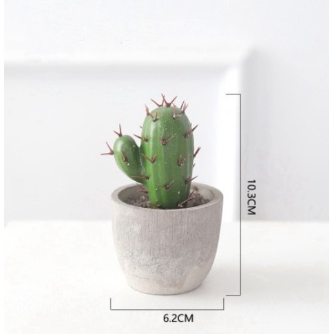 DODORY - PT46 Pot Tanaman Rumput Bunga Mini Hias Dekorasi Plastik Murah-Kode L