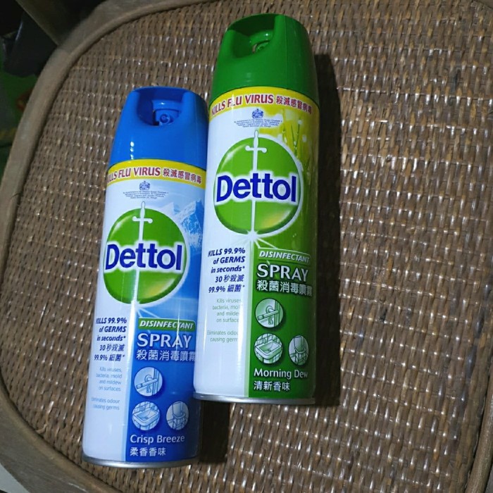 Dettol Desinfectant Desinfektan Spray 450 ML ORIGINAL BARU