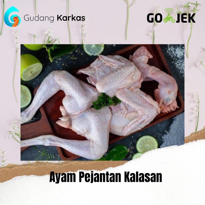 

Ayam Pejantan Kalasan