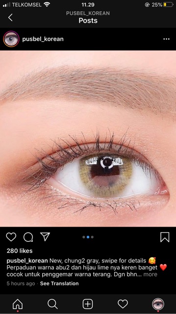 Chung chung gray &amp; brown softlens original korea