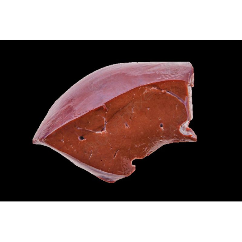 

Hati sapi premium, untuk sambel goreng hati