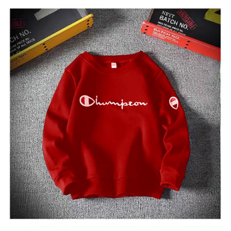 COD//DS//BAJU SWEATER HAMPION (M-L)