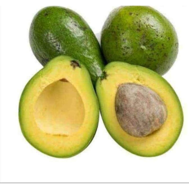 

Alpukat mentega fresh 1 kg