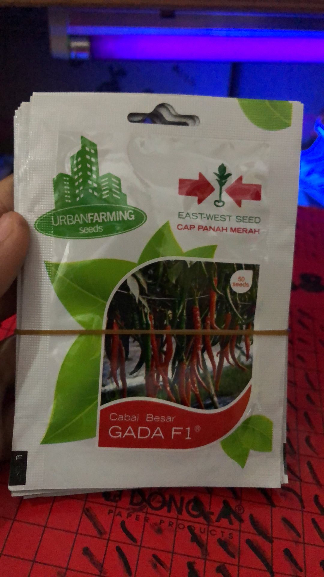 Benih Cabe Besar Gada F1 (kemasan Personal Pouch Cap Panah Merah)