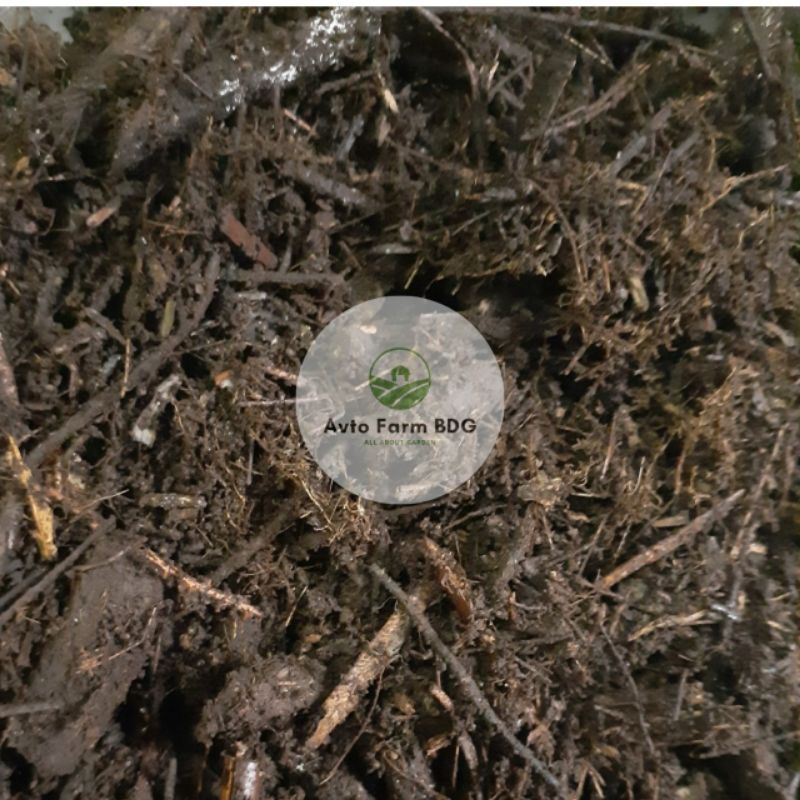 humus bambu hutan murni 5kg