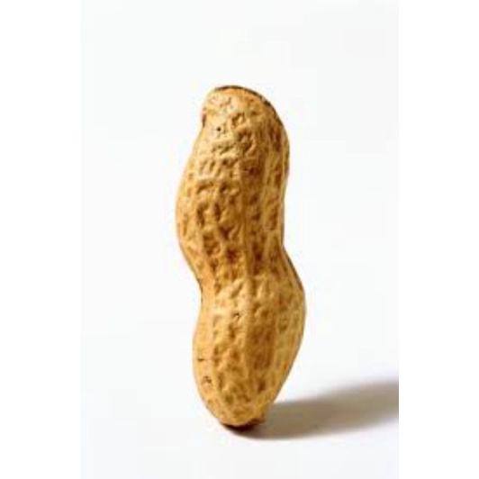 

Makanan kering lee min how