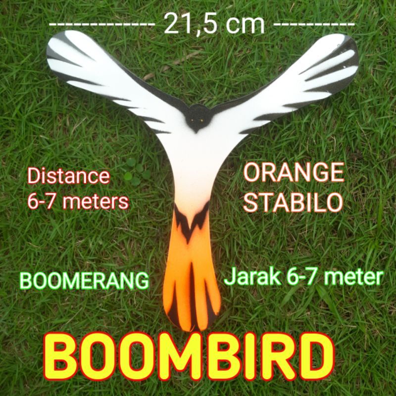 Boomerang indoor burung