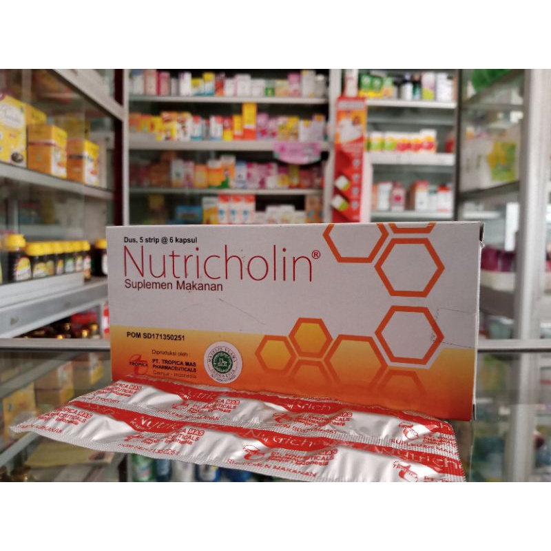 NUTRICHOLIN 1 STRIP @6 KAPSUL