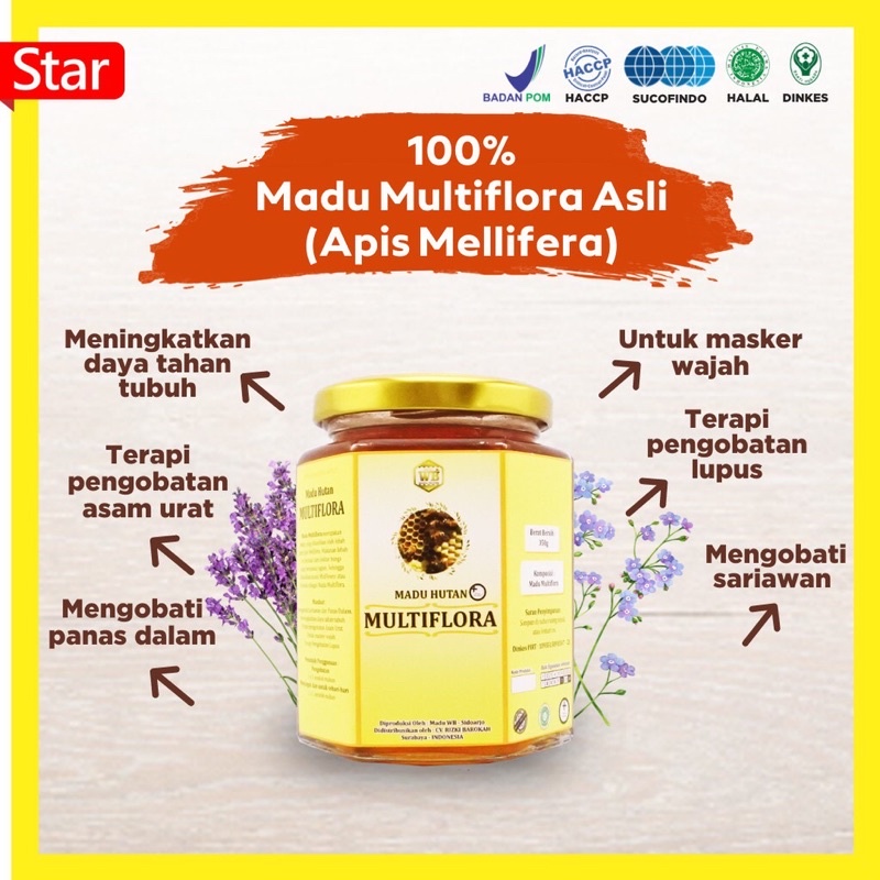 

[COD] Madu Multiflora / Lebah Apis Melifera - Garansi Murni & Asli 100% - Wild Bee-Kemasan Try Kit