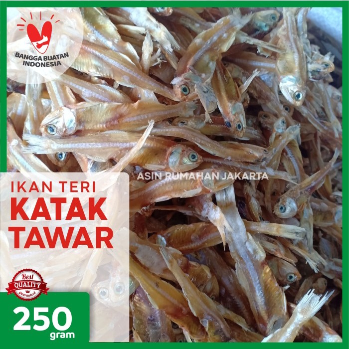 

PROMO Ikan Asin Teri Katak Tawar 250 Gram / Ikan Katak Teri Tawar