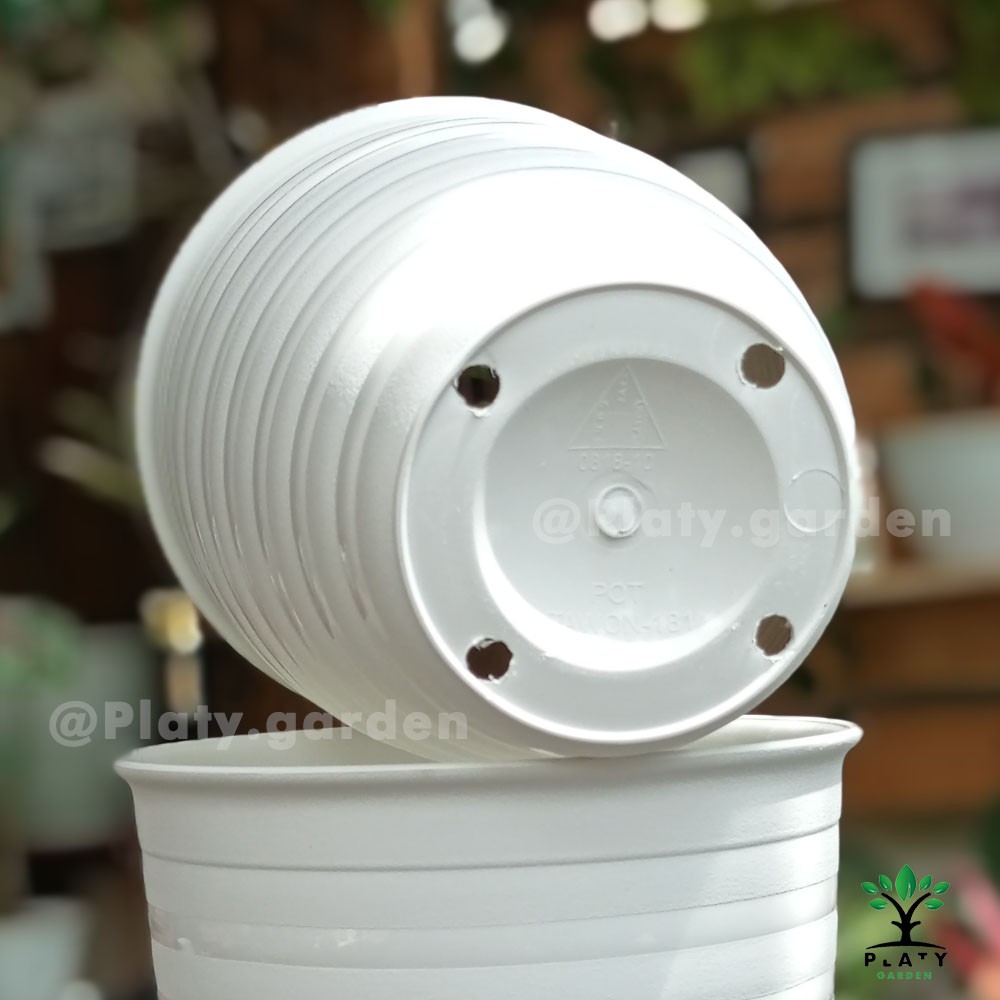 Pot Tawon Original 18 cm Tinggi | Pot Tanaman Hias Model Tawon Budi Jaya