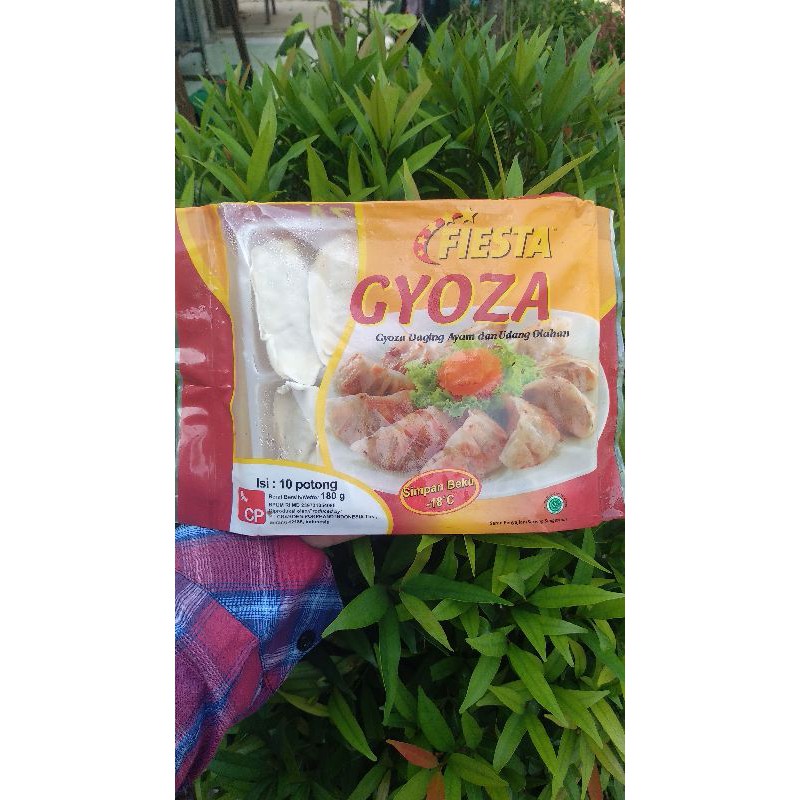 

Fiesta Gyoza