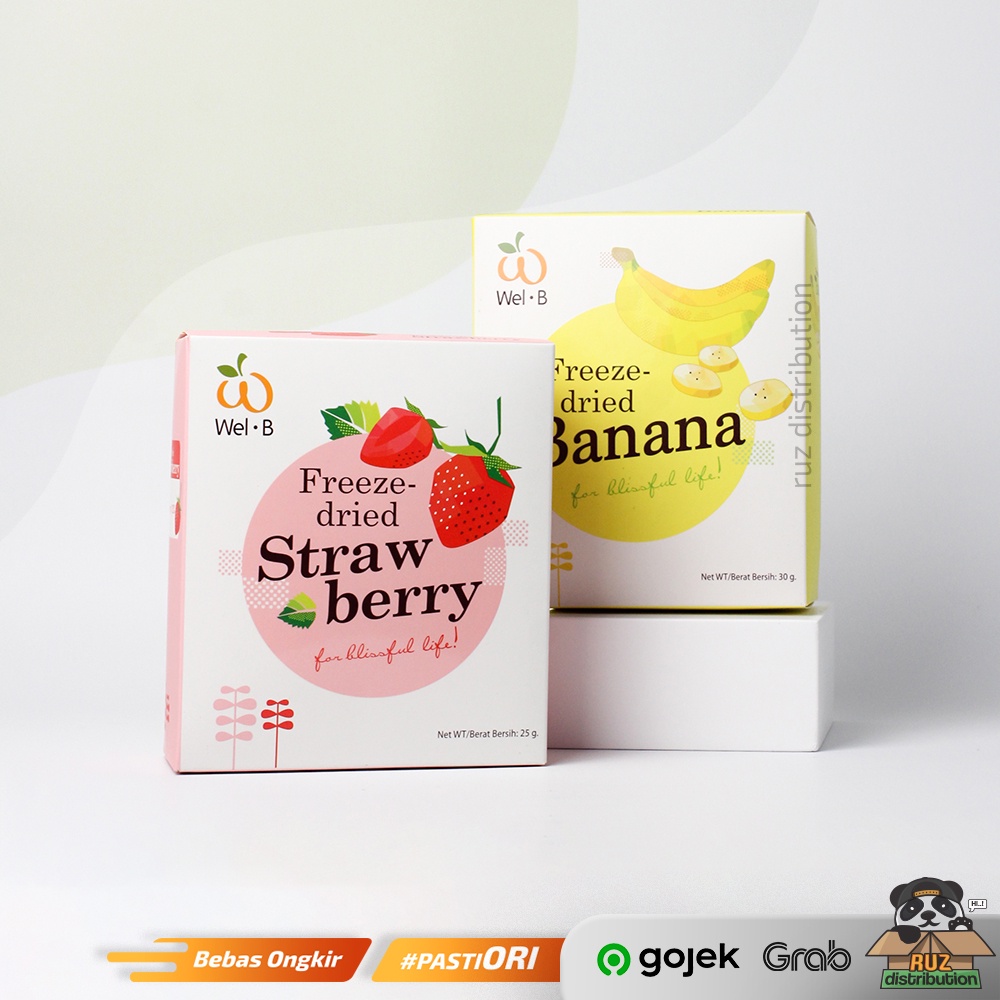 WEL-B Freeze Dried Fruits Cemilan Anak Snack Anak WelB