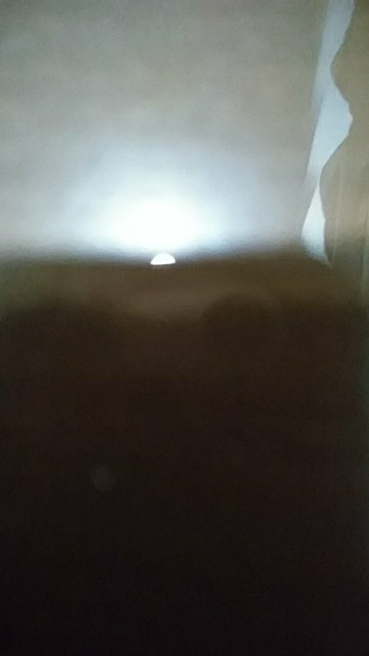 Face Shield Dengan Kemasan Box Paul Lorna