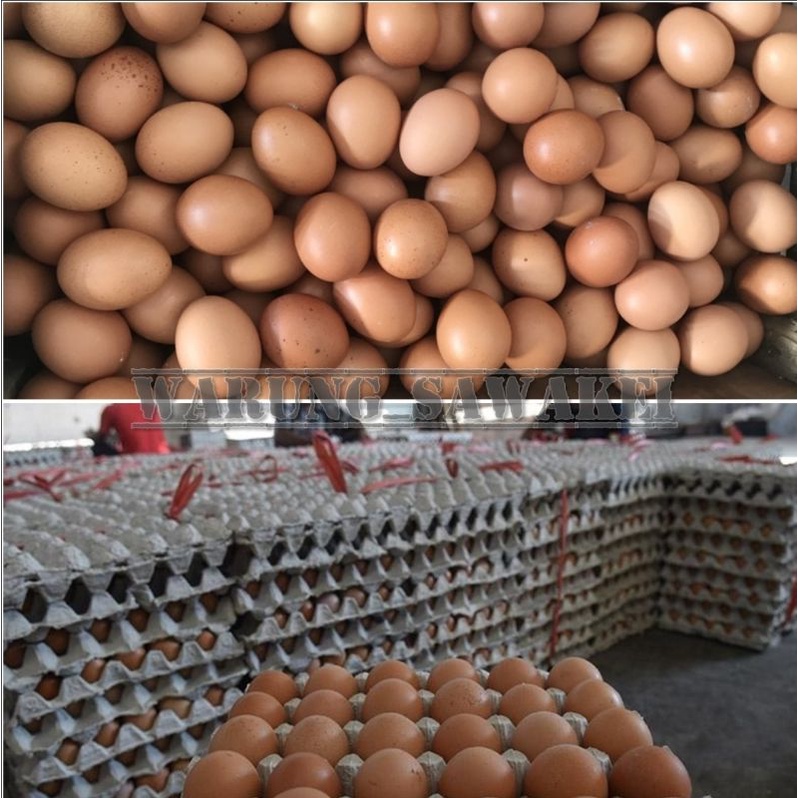 

Telur Ayam Negri Curah 1kg (hanya Pemesanan via Gosend/Grab/Instant)