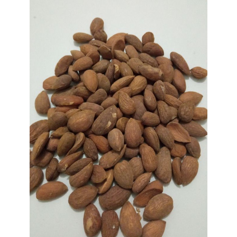 

Biji Ketapang Khas Aceh Sudah dikupas 1 kg