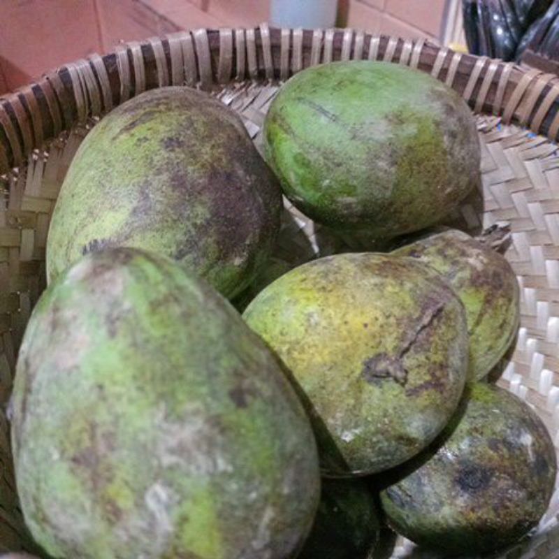 

mangga kyojay super