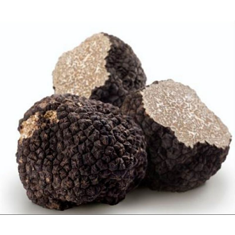 

Fresh Italian Whole Black Truffle Jamur Hitam Truffle Italy - 100gr