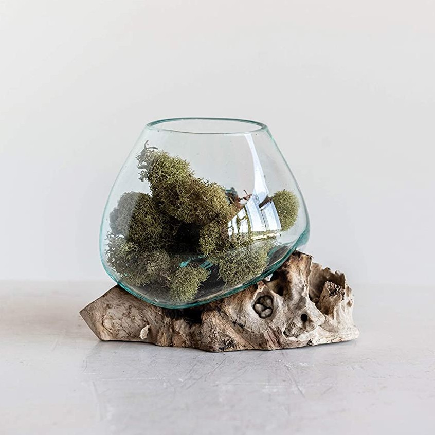 AQUASCAPE MINI UNIK/ AQUARIUM/ AQUARIUM CUPANG MEDIUM PREMIUM QUALITY