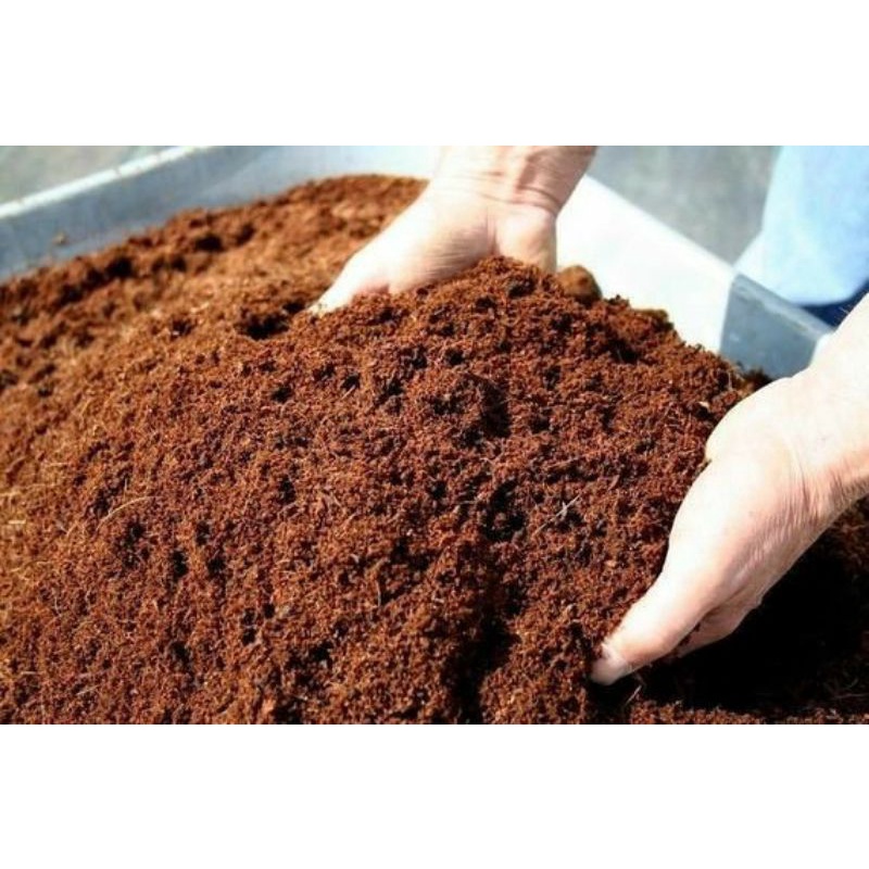 cocopeat halus alas kandang reptile tarantula serangga pacman kalajengking 500 g