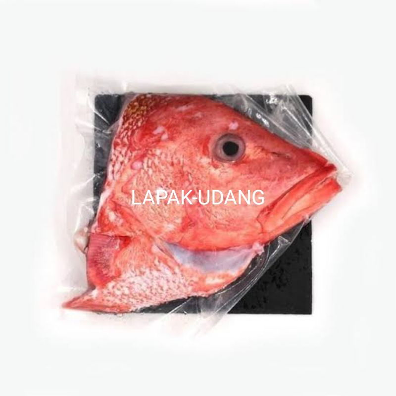 

Kepala Ikan Kakap Merah FRESH 1Kg Ikan Harian GARANSI SEGAR