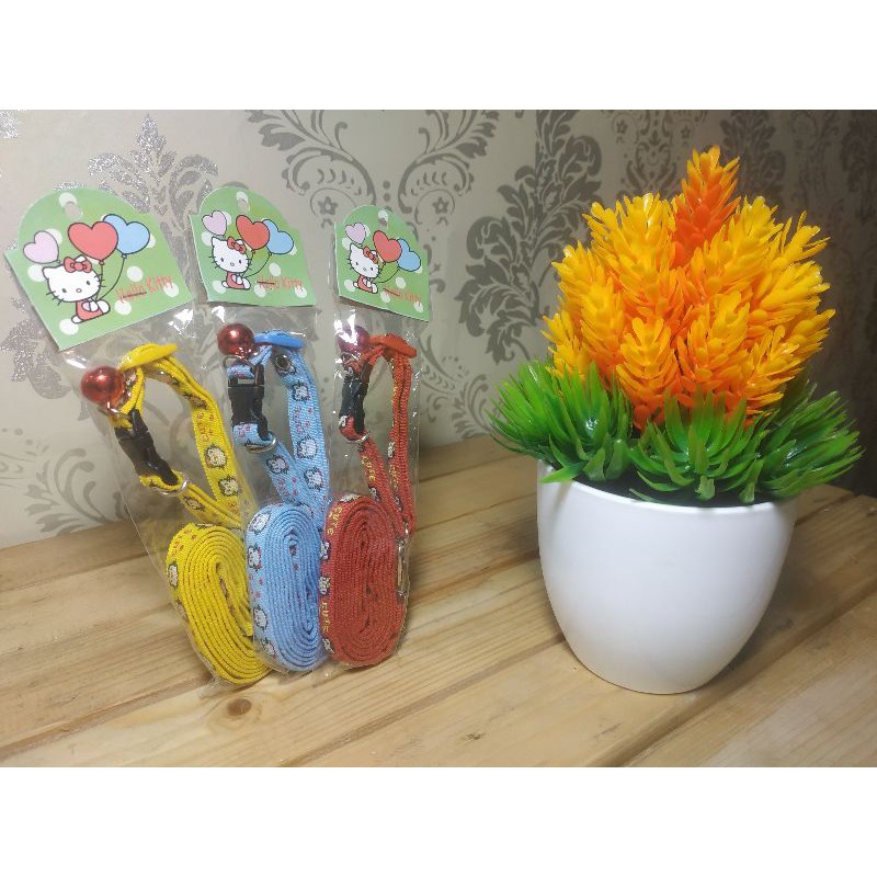 Kalung kucing tali kalung anjing