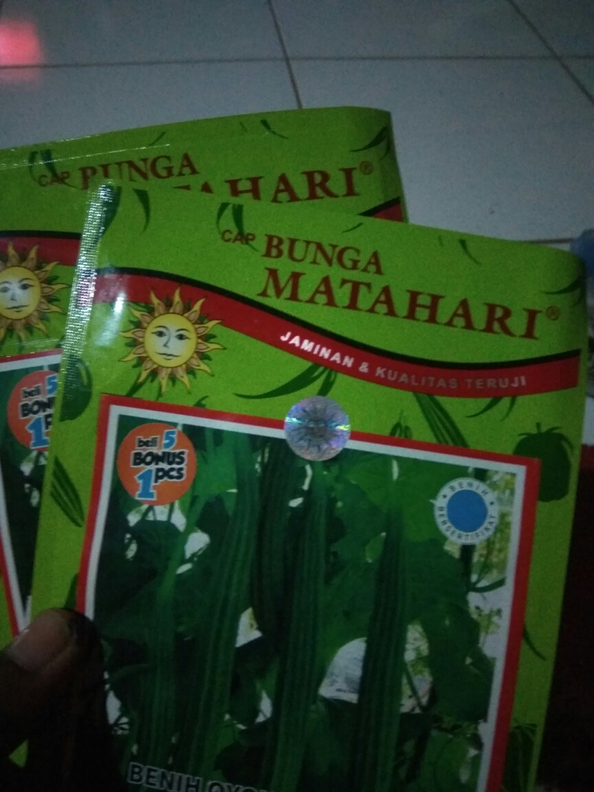 Benih Gambas, Benih Oyong Hibrida Ladies 10 Gram