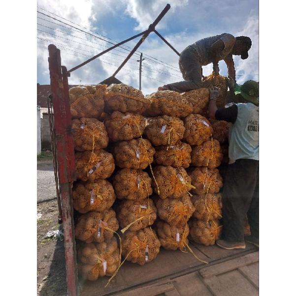 

Kentang Super Dieng 15.000 1kg