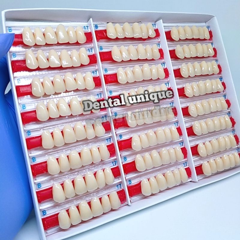 GIGI PALSU ITALDEN ATAS DEPAN WARNA B  SATU TRIP ( ISI 6 BUAH GIGI )