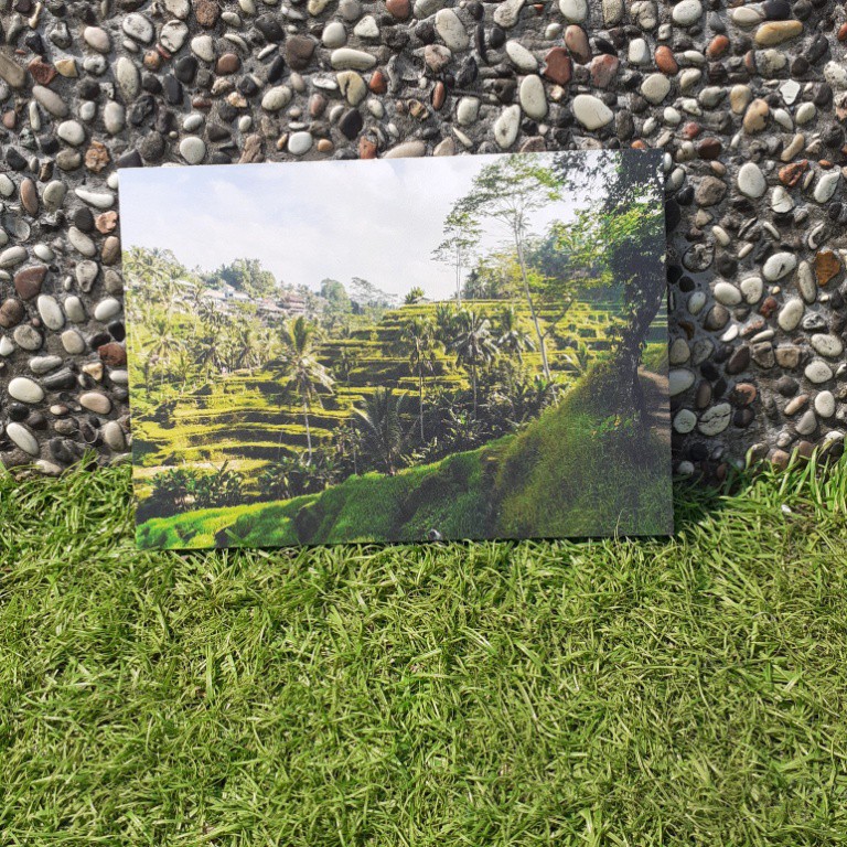 

[A-73] Kartu Pos/Postcard Kampung dan Ladang Padi