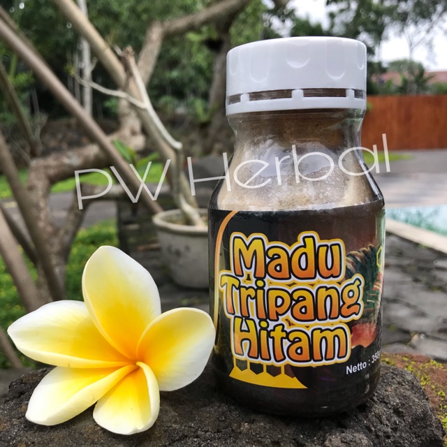 

Madu Tripang Hitam JANTUNG