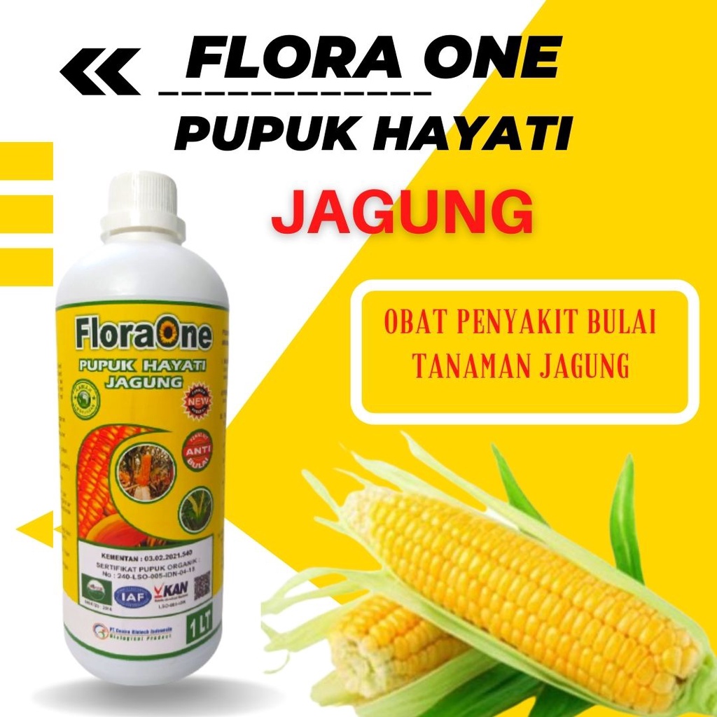 Jual Pupuk Floraone Untuk Jagung 1 Liter Pupuk Cair Untuk Tanaman Jagung Agar Berbuah Banyak 7769