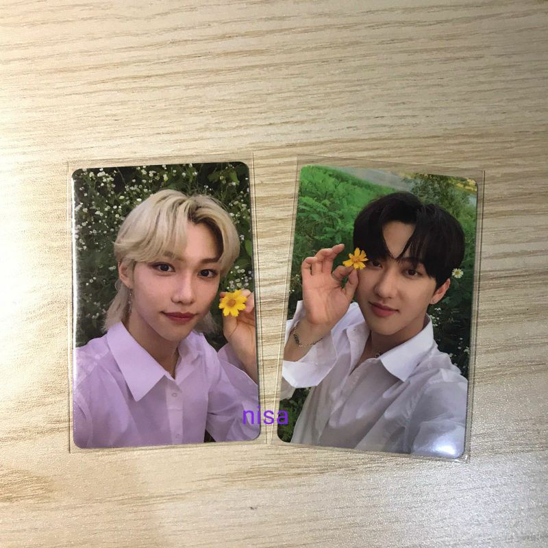 album only in life sekijeu