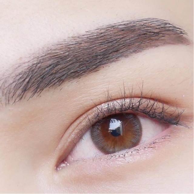 Monet gray &amp; brown softlens natural original korea