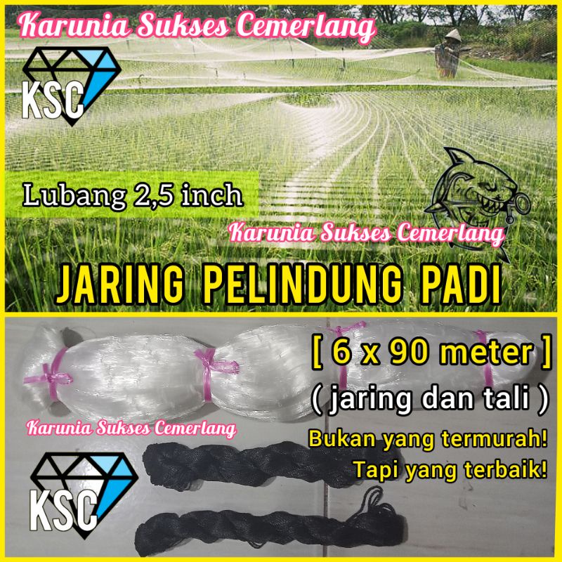 JARING BURUNG 2,5 INCH / JARING  EMPRIT SAWAH / JARING PADI /JARING BURUNG KECIL / JARING PENUTUP PA