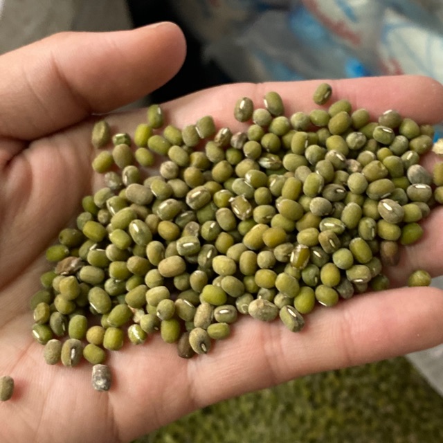 Kacang Ijo Butek 250gr