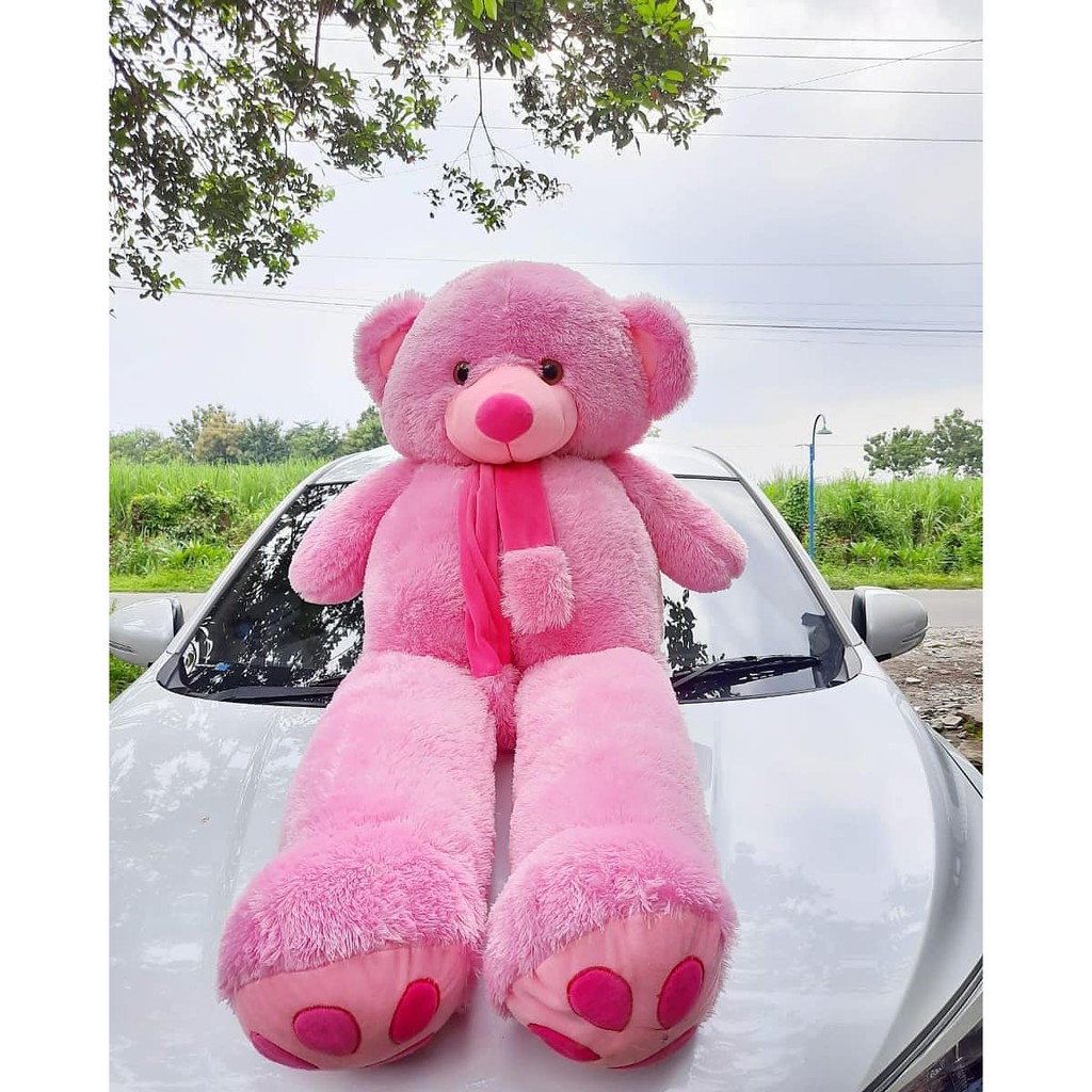 Boneka teddy bear super jumbo chosy 