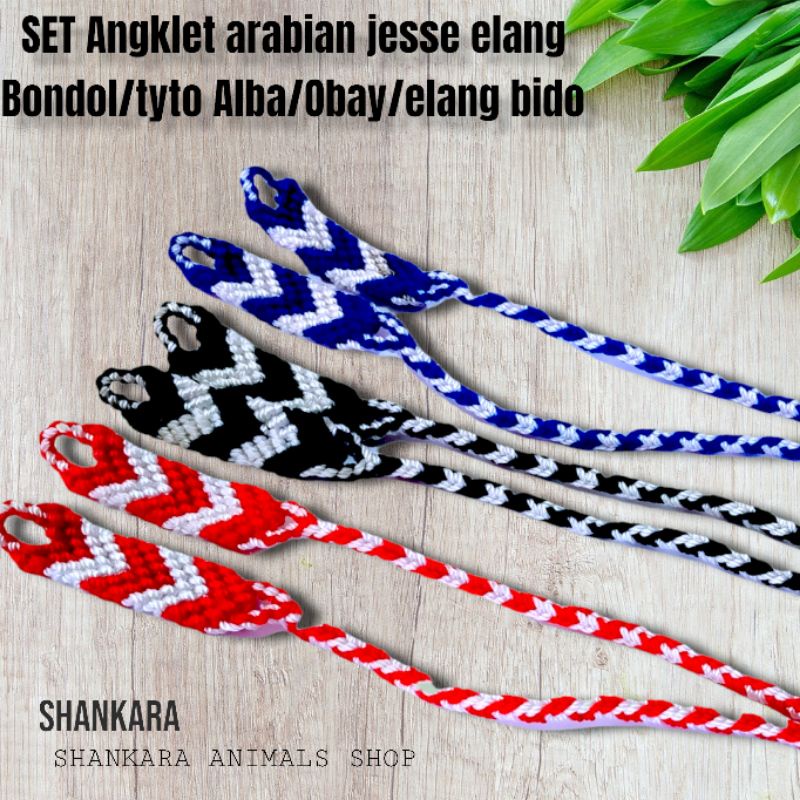 SET ANGKLET ARABIAN JESSE ELANG BONDOL/TYTO ALBA/OBAY/ELANG BIDO