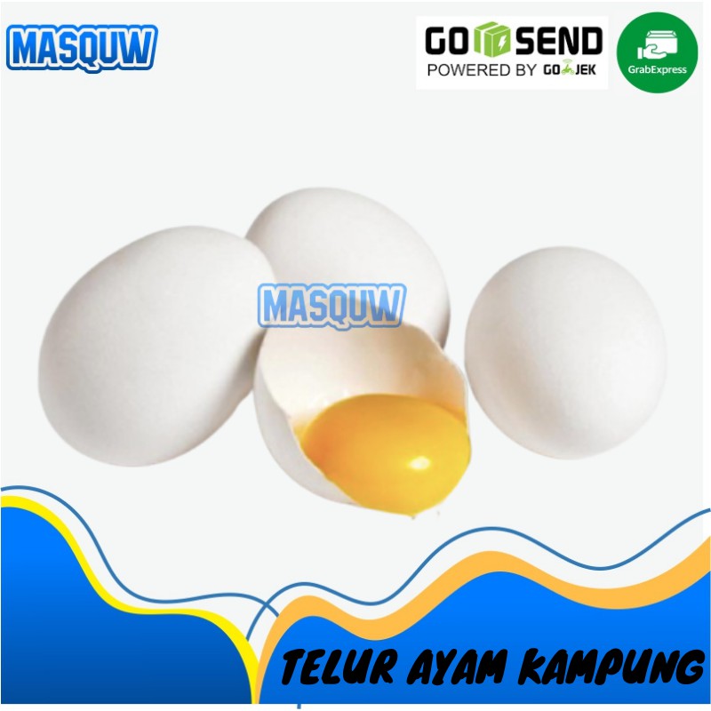 

TELUR AYAM KAMPUNG ASLI OMEGA PERBUTIR BUTIRAN FRESH SIDOARJO MASQUW