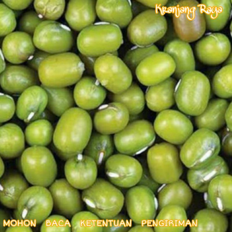 

kacang hijau