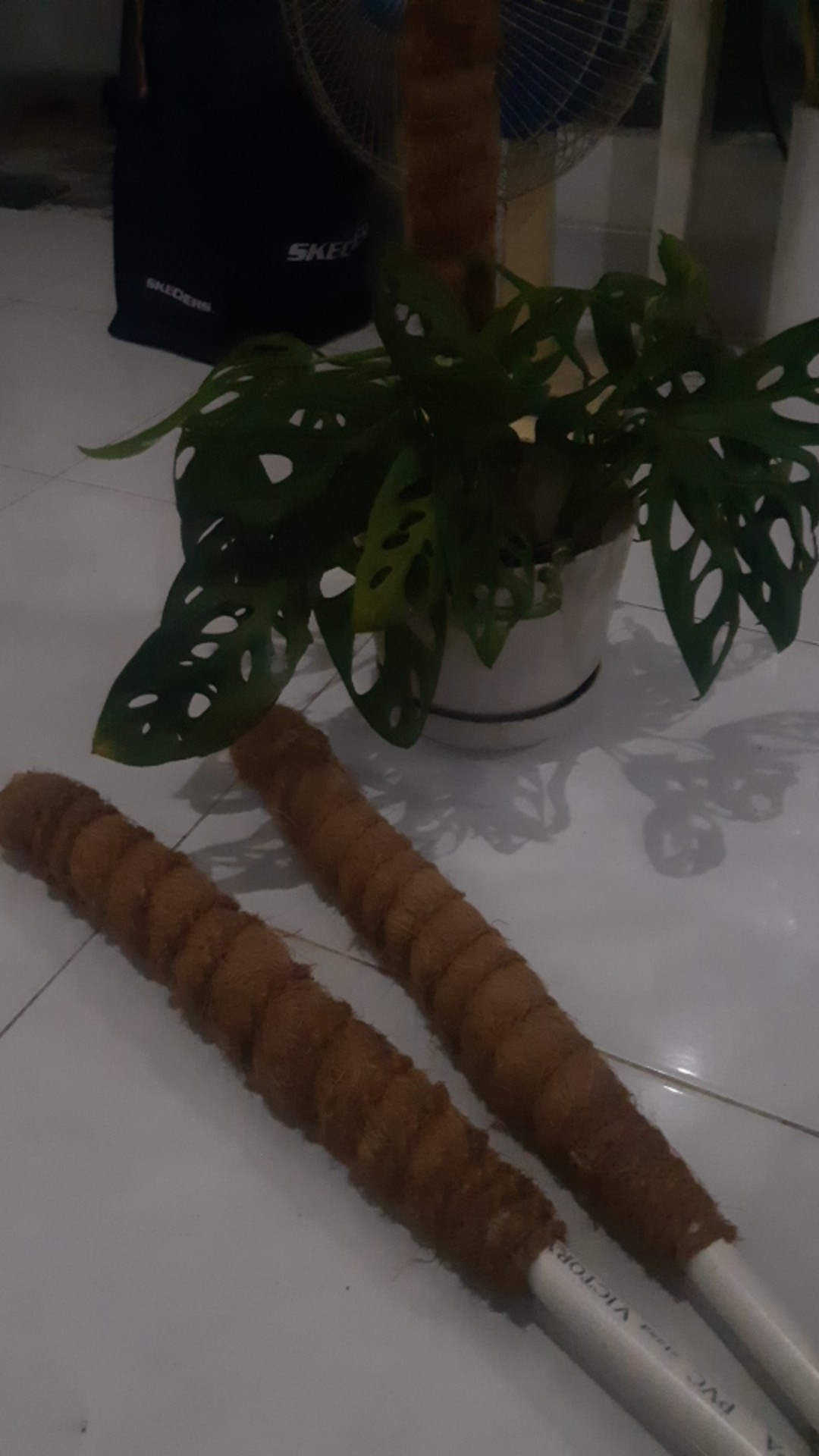 Rambatan Tanaman Sabut Kelapa Murah Meriah 50 Cm