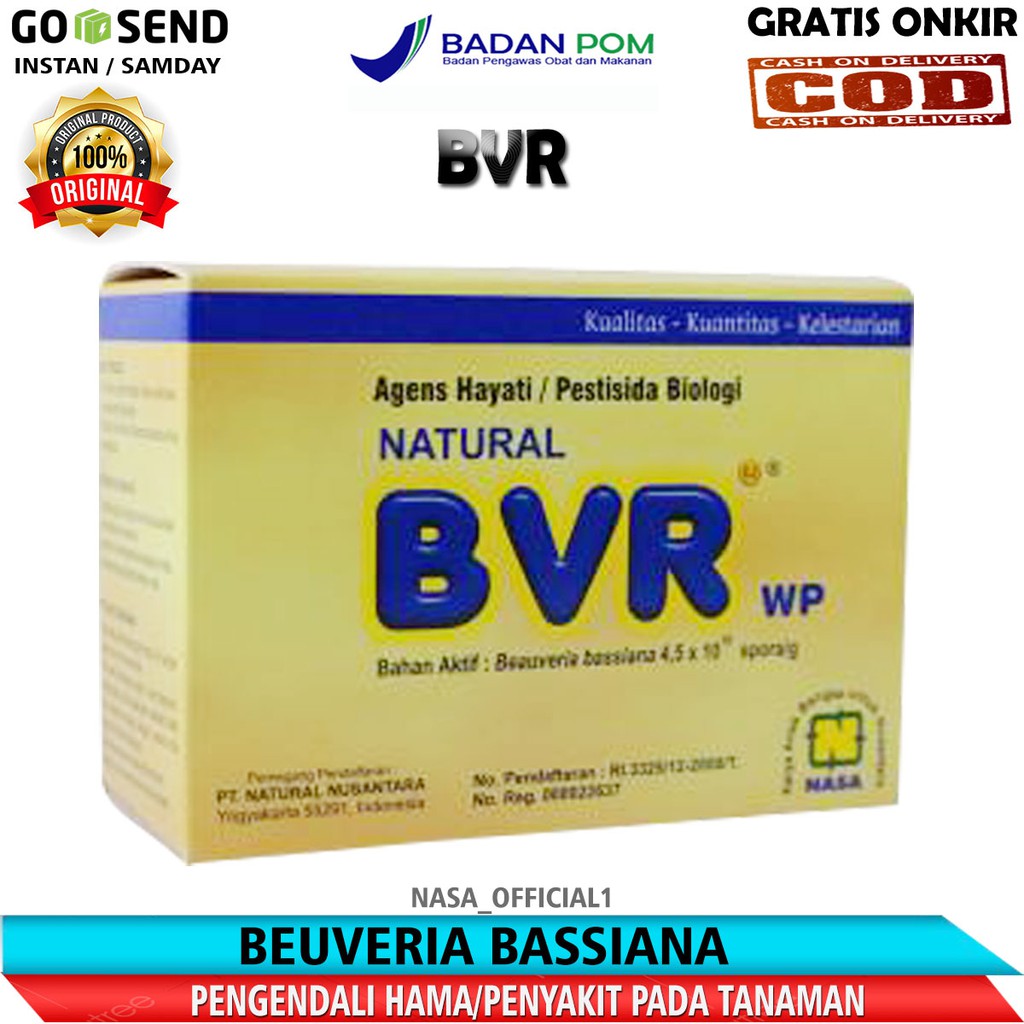 BVR _ BEUVERIA BASSIANA _ PENGENDALI HAMA _ PEMBASMI HAMA _ OBAT HAMA _ PUPUK HAMA_PESTESIDA ORGANIK