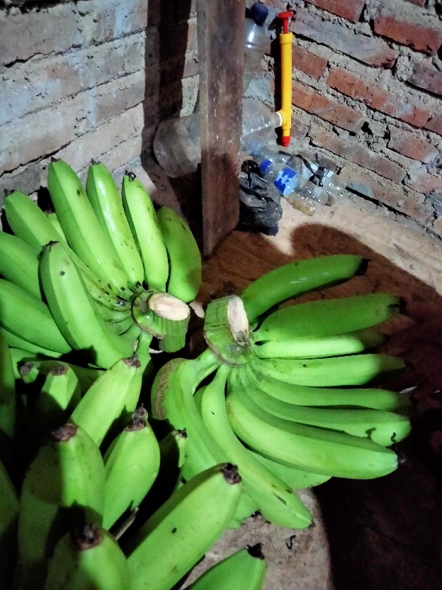 New Kemeja Batik Slimfit Exclusive Original Butik Atasan Batik Seragam M L Xl Xxl