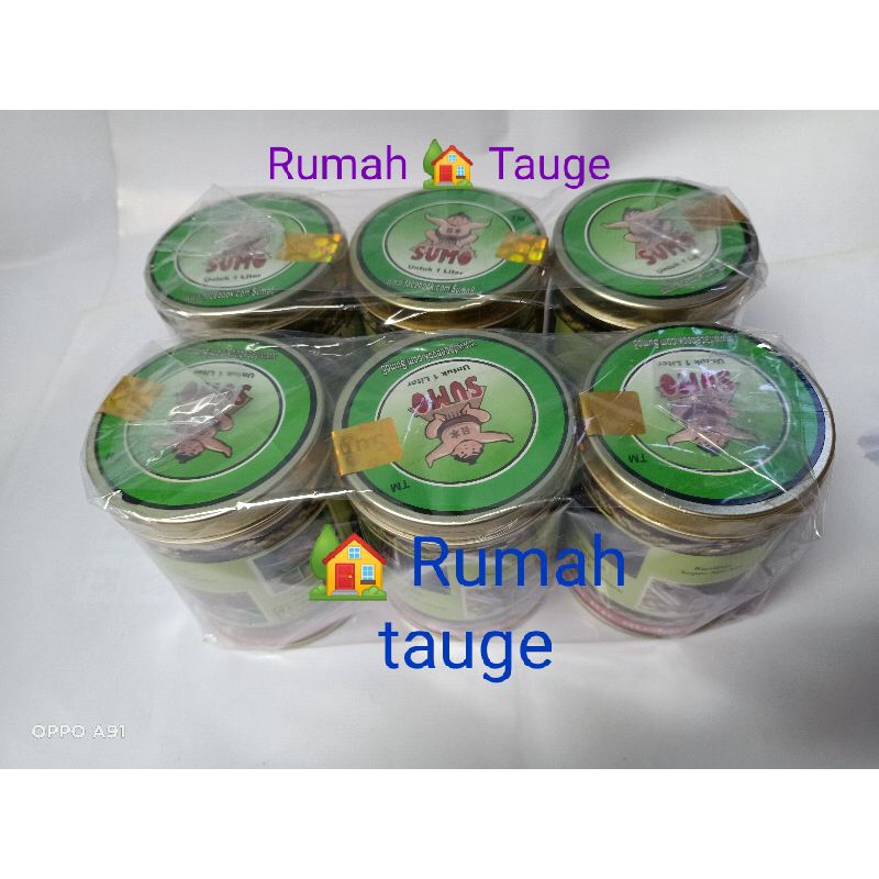 Nutrisi toge sumo8 piapos