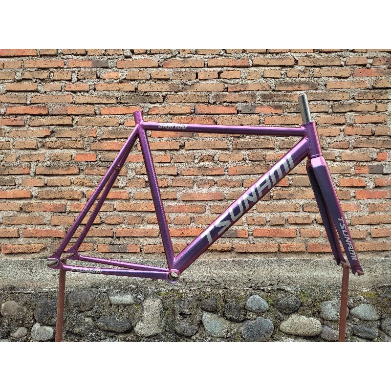 frame fork fixie tsunami custom
