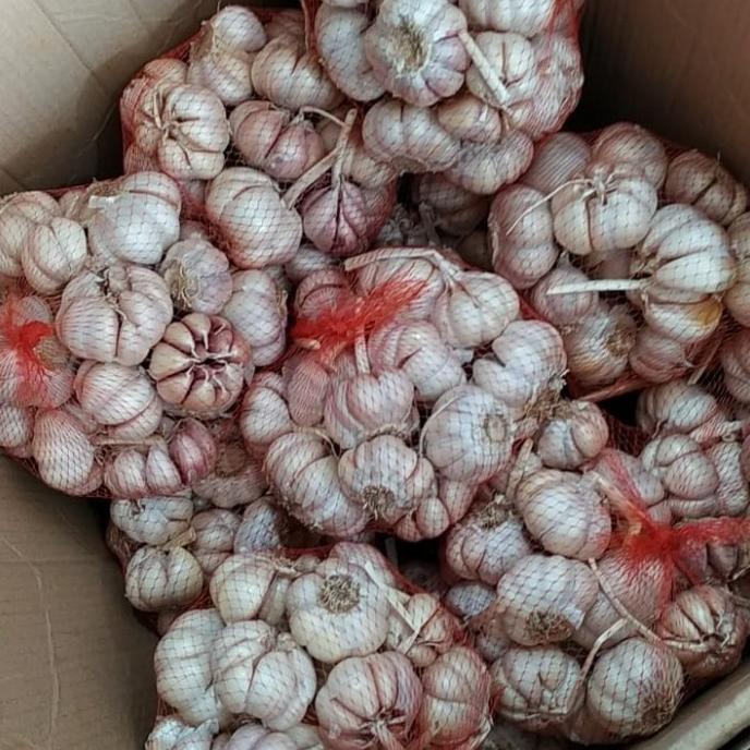 

Promo Awal tahun BAWANG PUTIH HENAN / HONAN / BAWANG PUTIH BANCI 500 gram Promo Awal tahun