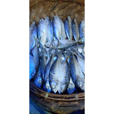 

ikan Rebus medan 1 kg